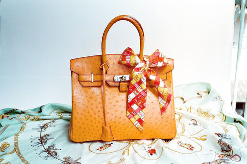 Ostrich Birkin reference photo by Wen-Cheng Liu, CC BY-SA 2.0. Source: https://commons.wikimedia.org/wiki/File:Hermes_Ostrich_Birkin_Bag.jpg. Not the Diamond Himalaya model.